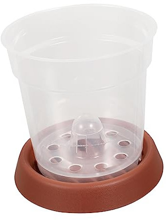 Mipcase Strumento per Trapianto Confezione da 5 Contenitori in Plastica Pp per Vivai Supporto Inferiore per L'avvio dei Semi E La Crescita di Piccole Piante per Una Facile Osservazione