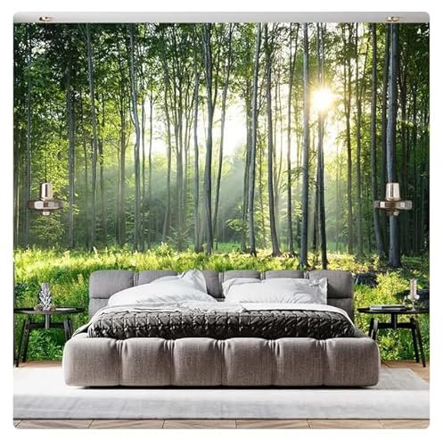 pdghsdkgjh La luz del sol penetra en los árboles, bosque antiguo, hermoso paisaje de montaña, mural 3D, dormitorio, sala de estar, sofá, fondo de TV * 300 cm x 210 cm (118,1 x 82,7 pulgadas)