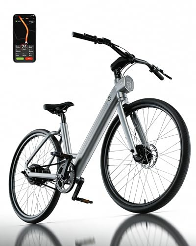Freedare City Urban E-Bike für Erwachsene mit 250W Motor und 60Nm Drehmomentsensor, Abnehmbarer 36V10Ah Akku für 80-100 km Reichweite, 25 km/h, 27,5×1,5 Kenda Reifen (FDS1-Silber)