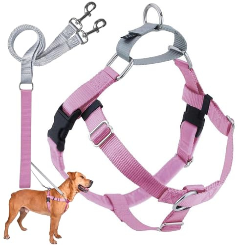 2 Hounds Design Freedom No-Pull Dog Harness with Leash, Small, 5/8-Inch Wide, Rose