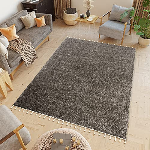 TAPISO Boho Fringes Teppich Hochflor Langflor Shaggy Fransenteppich Dunkelbraun Grau Taupe Flauschig Modern ÖKOTEX 160 x 220 cm