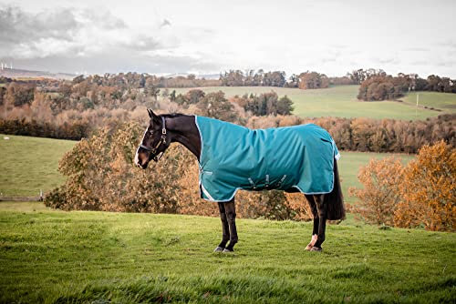 Horseware Amigo Bravo Turnout 12 Wug lite Storm Green Größe wählbar (130)