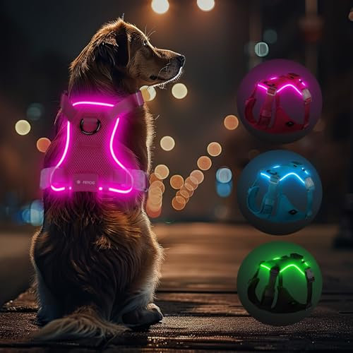 Light Up Dog Hundegeschirr Leuchtend LED Aufladbar - Leuchtgeschirr Leuchtend für Klein Mittelgroße Grosse Hund, Reflektierende Brustgeschirr Beleuchtetes Hundegeschirr, 4-Punkt Verstellbar,Rosa,XS