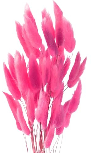 MHDAMAI Getrocknetes Pampasgras,Kaninchenschwanz Gras 60 Stück Natürlicher Trockenblumen Blumenstrauß Deko Künstlich Groß Trockenblumen Pampasgras für Inneneinrichtungen Fotografie Hochzeit Rosa