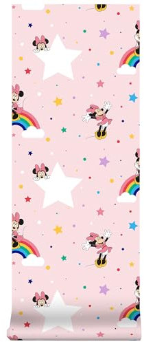 108592 Rainbow Minnie