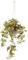 Künstliche Philo-Hängeampel mit Topf Kunstpflanze Ranke Girlande Grünpflanze Deko Pflanzenampel Grünpflanze Zimmerpflanze Kletterpflanze Efeuranke Efeu Blumenampel Topfpflanze Kunstblume, Fittonia