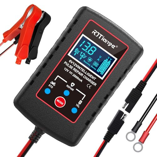 2 Amp Caricabatterie per Auto,6V 12V Caricabatterie di Mantenimento Intelligente,Caricabatteria di Mantenimento al Piombo per Tosaerba,Moto,Auto,Barche (spina EU)