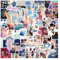 EGEKTBH 100 PCS Taylor Swift Stickers, Waterproof Vinyl Stickers for Glass, Plastic, Metal Surfaces, Style 2, Cat Theme, Scrapbook Recommended