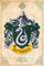 ABYstyle ABYDCO777 Harry Potter Slytherin Maxi-Poster 61 x 91,5 cm