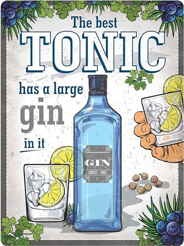 Dodino 30x40cm blechschild, GIN and TONIC, funny Metallschilder, vintage Dekoration für Partyraum, Irish Pub und Küche, Dekoratives Wohnaccessoire