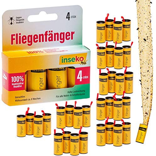inseko 32 x Fliegenfalle I Premium Fliegenfänger I Fruchtfliegenfalle I umweltfreundlich - giftfrei (32)