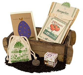 Nachhaltige Osternest in trendiger Ziegelform| Enthält Osterkarte Frohe Ostern, Minigarten Wildtomate BIO, Wildblumen im Würfel, Seedbombs Wilde Wiese | Ostergeschenk | Idee Osterkörbchen