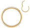 Artskin Grad 23 Titanium Scharnier Nase Ringe Hoops Körper Piercing Ringe Helix Knorpel Rook Ohrringe 20G 18G 16G, Durchmesser 6mm-10mm Schwarz/Silber/Gold/Rose Gold/Pink