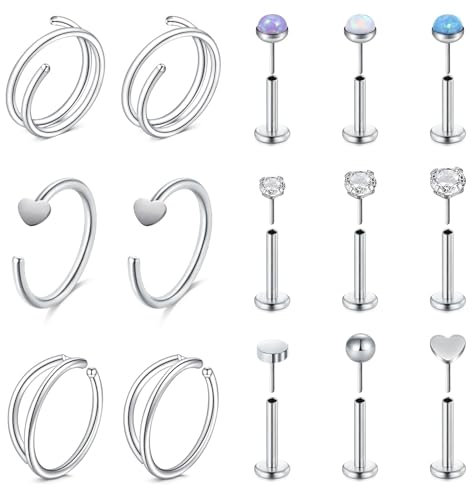 WillTen 20G Nasenringe Gewindelose Nasenringe Ohrstecker Chirurgenstahl Nasenringe Hoops Nasenpiercing Schmuck Silber