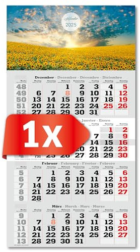 PRIMUS PRINT 4-Monats Einblockkalender 2025 - Wandkalender - Monatskalender mit Schieber - Blockkalender - inklusive Feiertagen - verschiedene Motive, verschiedene Sets - [ 1 x Sonnenblumen ]