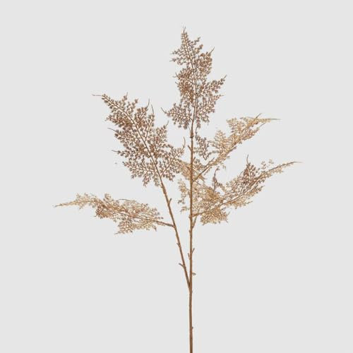 EDG Asparagus Ramo H80 Colore : Gold