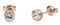 Ted Baker Sinee Mini Crystal Stud Earrings For Women (Rose Gold/Crystal)