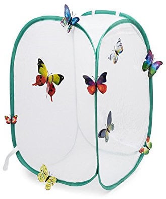 Hyindoor Insekt Und Schmetterling Habitat Käfig Terrarium Schutz Käfig Grün