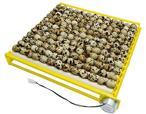 Incubadora de huevos de diseño HopeU5 tipo rodillo 13 tubos bandeja giratoria de huevos con motor de 12 V / 220 V nacedora para pollos, patos, pájaros (13tubes-220V)