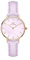 Daniel Wellington Petite Montre 28mm Double Plated Stainless Steel (316L) Rose Gold
