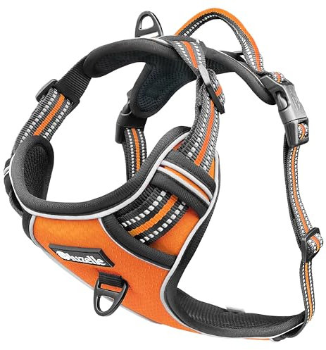 bluzelle Hundegeschirr für kleine Hunde, Reflektierendes Brustgeschirr mit Griff & Tasche für GPS Tracker, Anti-Zug Hundeweste Hund-Warnweste, Atmungsaktiv Reflektor-Gurte, S, Orange