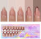 GZMAYUEN 150Pcs Faux Ongles Brun Fake Nails Press on Nails Amande, Automne Hiver Brun Capsule Ongle Faux Ongles French pour Femmes et Filles