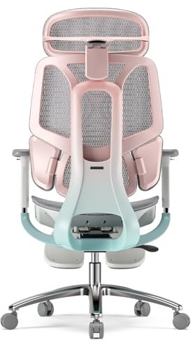 Hbada E3 Pro Sedia Ufficio e Scrivania Ergonomica, con Supporto Lombare Dinamico a 3 Zone, Testiera Regolabile 4D, Braccioli Regolabili 4D, Rosa con Poggiapiedi