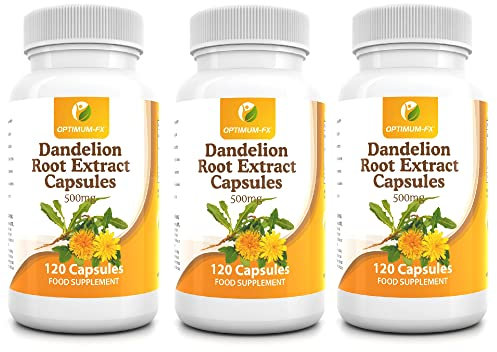 Dandelion Root Extract Capsules 500 mg 120 Capsules