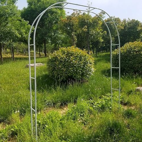 Rosenbogen, Rosenbogen Metall, Torbogen Rankhilfe für Kletterpflanzen, Pergola Metall Rankgitter, Rosenbogen Selber Bauen, für Verschiedene Kletterpflanzen, Heimdekoration ( Color : Wit , Size : 260x2