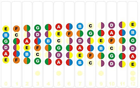 Gitarren Noten Aufkleber Sticker für das Griffbrett - Kinderleicht Akkorde und Noten lernen - Ideal für Akustikgitarre Westerngitarre E-Gitarre Ukulele (Transparent)