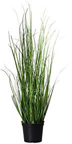 mucplants Dekogras im Topf - Künstlich & Naturgetreu - Höhe 60cm - Grasbüschel Ziergras Ufergras Kunstgras Grasbusch Schilfgras (Höhe: 60cm)