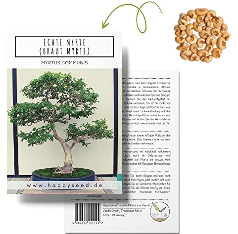 Einzigartige Bonsai Samen mit hoher Keimrate - Pflanzen Samen Set für deinen eigenen Bonsai Baum (1x Echte Myrte)
