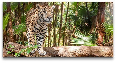 Paul Sinus Leinwandbild 120x60cm Jaguar Raubkatze schönes Tier Katze Wild Dschungel