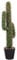 Alipis Life-like Fake Cactus Plant Large Potted Artificial Succulent Easy Care Bonsai Ornament for Home