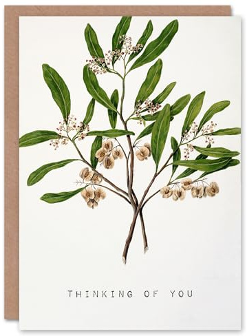 Artery8 Sarah Featon Thinking Of You Card New Zealand Hopbush Plant Floral
