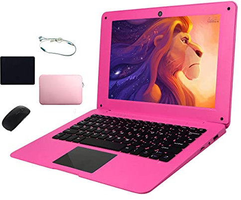 iSTYLE Mini Laptop 10,1 Pollici – Notebook Compatto Windows 10 con Display HD IPS, Processore Quad-Core, 2GB RAM, 32GB Memoria, Espandibile, Accessori Inclusi (Mouse, Custodia, Auricolari)