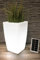 Arnusa Pot de fleurs solaire 50 x 30 cm LED RVB moderne carré Pot de fleurs sans fil Lampe solaire
