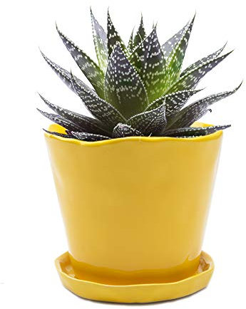 Chive « Tika » Pots de Fleurs en céramique – Jolis Pots pour Fleurs et Plantes d'intérieur et d'extérieur – Grand (12,7 cm) – Jaune des prés