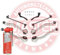 MASTER-SPORT Querlenker Satz 36837-KIT-MSP vorne, vorne rechts, vorne links