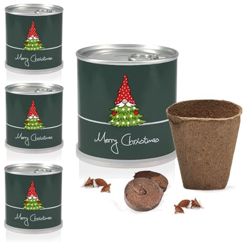 MacFlowers® Tannenbaum | 4 Stück Dein Tannenbaum Anzuchtset | Alles enthalten | 10 Samen | Nachhaltig Schenken | Geschenk für Frauen und Männer | Adventskalender Wichteln Weihnachten Nordmanntanne