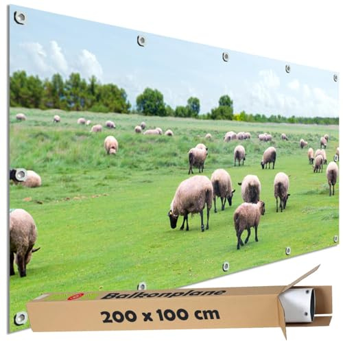 TRIOSK Sichtschutz Balkon Deko Plane Balkonblende Blickdicht mit Motiv Schafweide Schafe Schafherde Wiese für Garten Terrasse Gartenzaun Balkonverkleidung Blickschutz PVC groß 200x100 cm