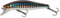 Daiwa Tournament Wise Minnow 70 FS Wobbler 7,5g Kibinago
