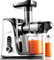 AMZCHEF Cold Press Juicer with 2 Speed Control - High Juice Yield Juicer Machines with Ultradense Filter - Masticating Slow Juicer for Whole Fruit and Vegetable - 1 Bottle and 2 Cups - Pearl White