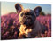 Munera Design - Bild 56x84 - Welpe französische Bulldogge Hund in Natur - Wand-Bilder Wohnzimmer