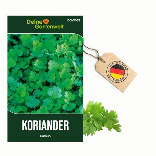 Koriander Comun Samen - Coriandrum sativum - Koriandersamen - Kräutersamen - Saatgut für 50 Pflanzen – 3er Pack