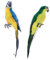 2pcs Künstliche Ara Vogel mit Feder Dekovogel Kunstvogel Figuren