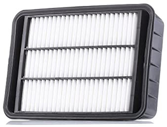 AUTOMEGA 180034710 Air Filter Filter
