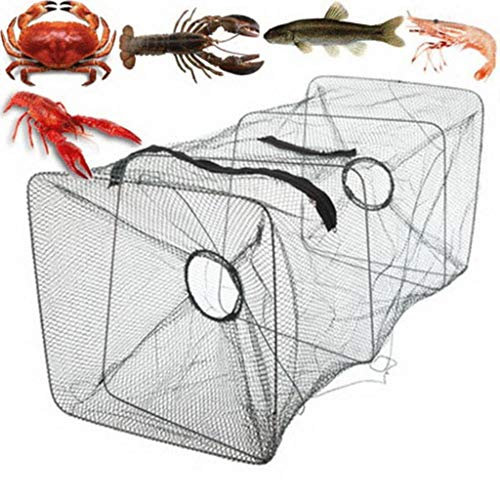 95sCloud Köderfischreuse Fisch Reuse Ragbare Fischernetz Faltbarer Fishing Köderfischreuse Fisch-Reuse Krebsreuse Fisch Fischernetz Trap Network Faltbare Fischernetz Tackle Metall Nylon