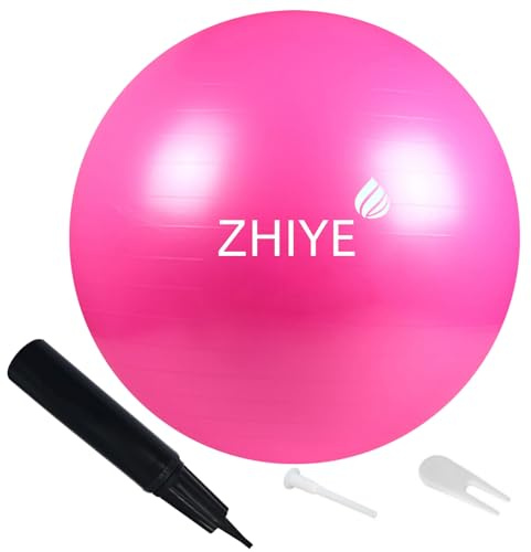 ZHIYE Palla da pilates rosa, 45 cm, per esercizi di yoga, fitness, yoga, stabilità, sbarra, allenamento fisioterapico, palestra a casa