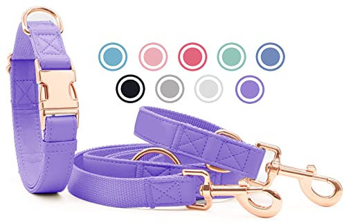 Weich Leder Hundehalsband und Leine (2m) Set - 3-Fach Verstellbar Hundeleine mit Halsband, Stilvollen Rose Gold Metall Schnalle & Nylon Hund Leinen für Welpen Kleine Mittlere Große Hunde HeViolett,XS